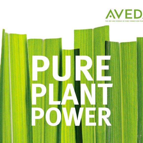 Aveda VALENCIA Key Element #7 Air Nature RETIRED RARE ORIGINAL FORMULA Medium Sz - Picture 7 of 12